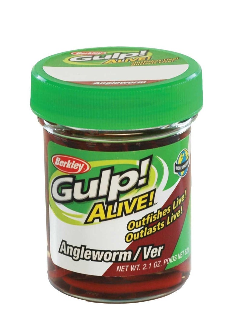 Berkley Gulp! Alive!® Angle Worm, Red Wiggler, 1- Inch - Image 5