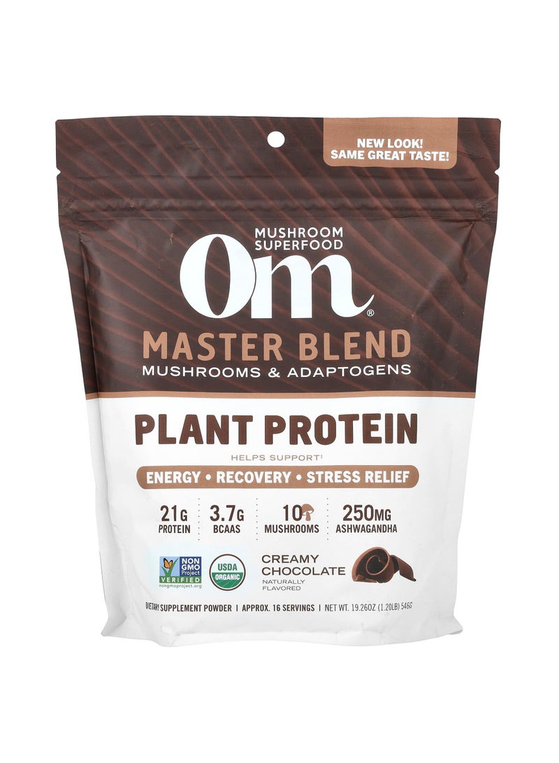 Master Blend, Plant Protein, Creamy Chocolate, 1.2 lb (546 g)