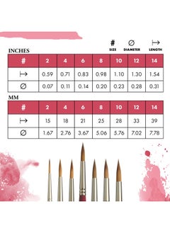 Generic PRINCETON ARTIST BRUSH CO. P3950LR8 Velvetouch Syn Sh Long Round Size 8  - Image 3