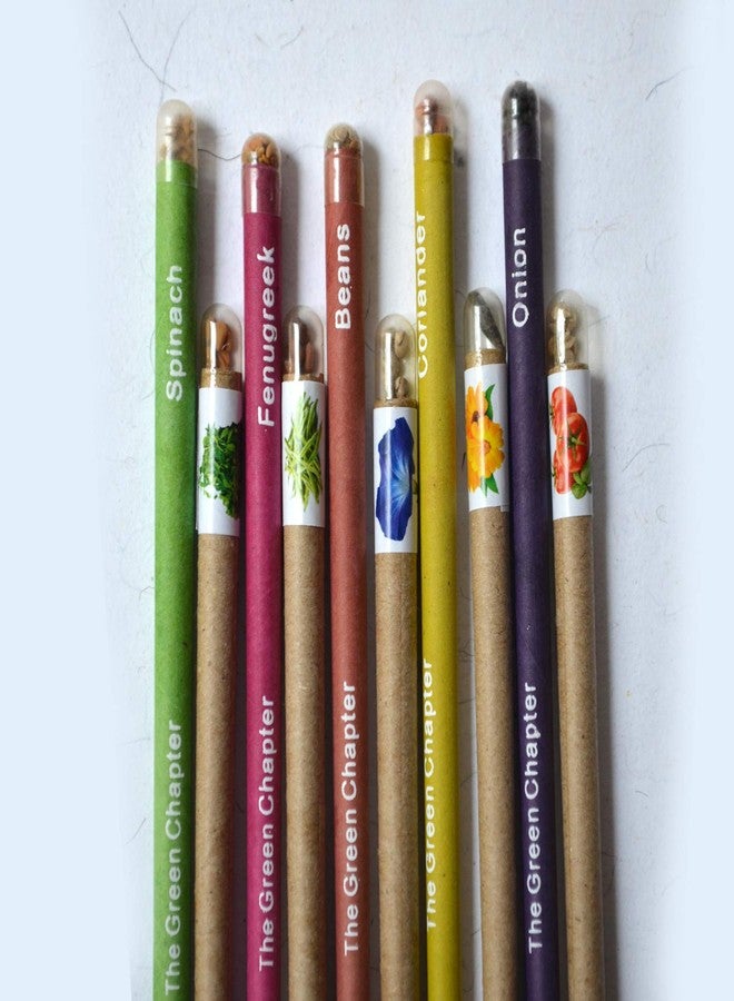 THE GREEN CHAPTER - Plantable Seed Blue Ball Pens 5 Pencil 5 Ecofriendly Stationery Gift for Men Women Staff (Pack of 1) - Image 3