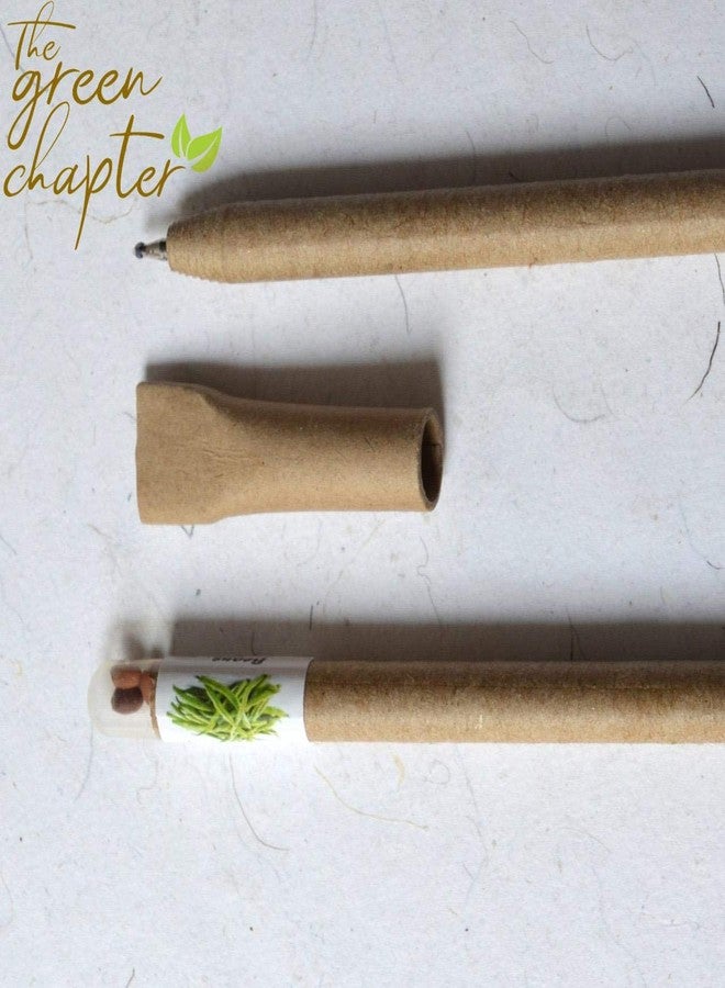 THE GREEN CHAPTER - Plantable Seed Blue Ball Pens 5 Pencil 5 Ecofriendly Stationery Gift for Men Women Staff (Pack of 1) - Image 4