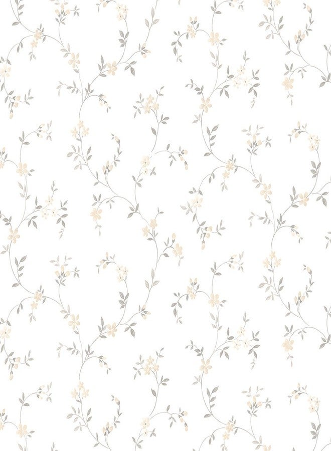 Norwall CK36604bolt Wallpaperseed Trail Wallpaper Prepasted