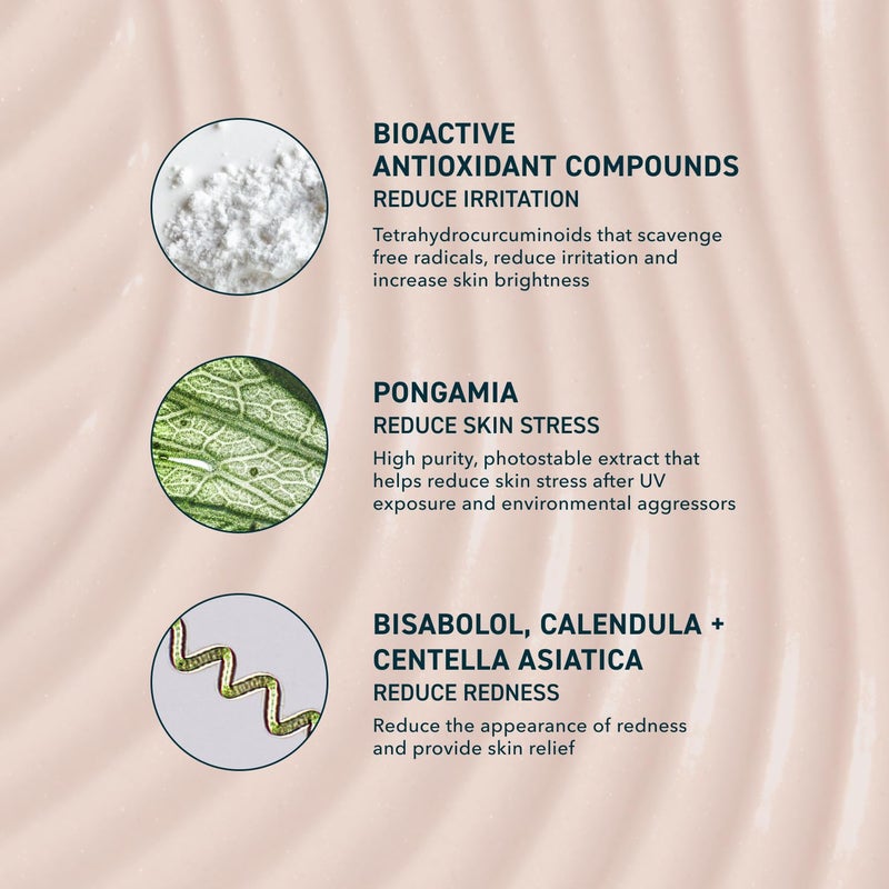 Prequel Skin Sun Barrier Mineral Sunscreen SPF 50. PA++++ Broad Spectrum Zinc Oxide Sunblock with Semi-Transparent Lightweight Texture. Moisturizing UV Defense for Face. Travel Size, 1.7oz - Image 3