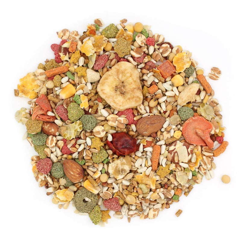 Vitakraft Vita Smart Gourmet Conure Food - Vitamin-Fortified - Daily Pet Bird Food for Conures and Small Parrots - Image 4