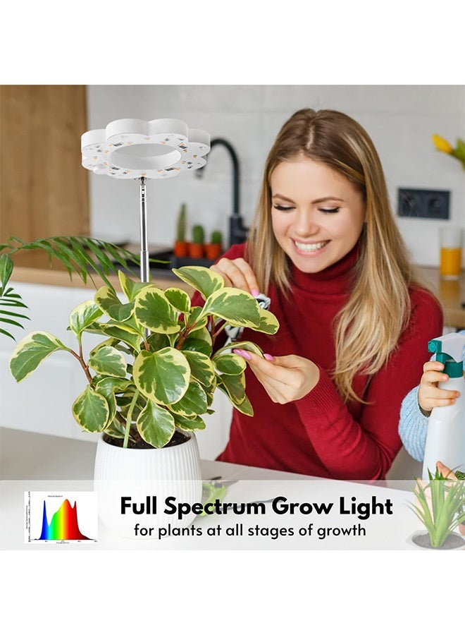 Peachjoy Indoor Plant Grow Light, Full Spectrum LED, Detachable Stand, Auto Timer, 10 Brightness Levels, 3 Light Modes, White, Plastic and Metal, Desk Grow Lamp for Small Plants - Image 2