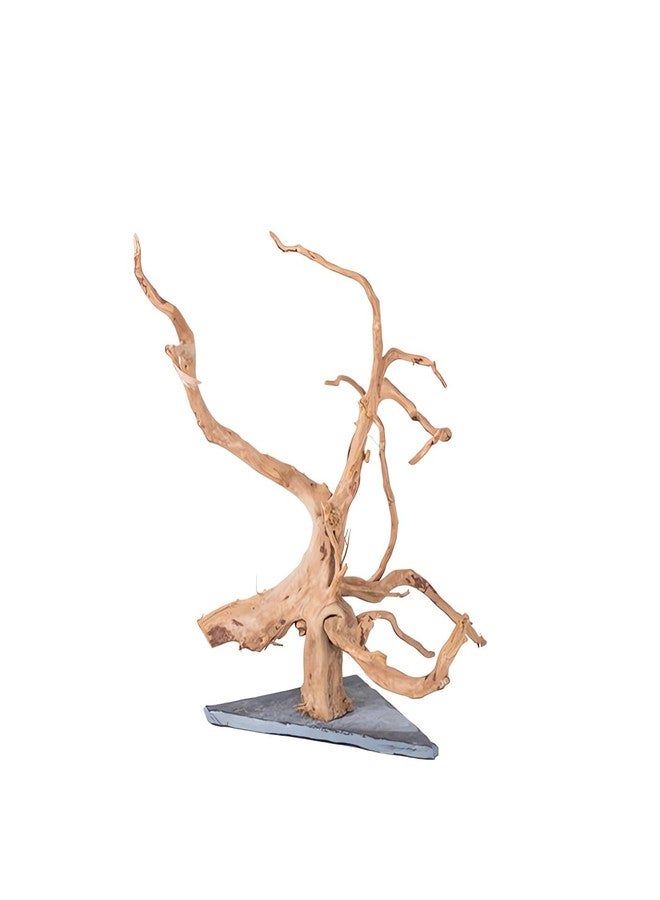 AWXZOM Natural Large Spider Wood Driftwood for Aquarium, Terrarium, Vivarium, and Reptile, Aquarium Décor, Reptile Tank, Aquarium décor Wood Aquascaping Wood for Reptile Enclosure (9-14inch) - Image 1