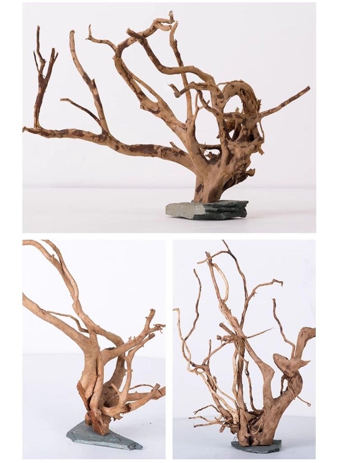 AWXZOM Natural Large Spider Wood Driftwood for Aquarium, Terrarium, Vivarium, and Reptile, Aquarium Décor, Reptile Tank, Aquarium décor Wood Aquascaping Wood for Reptile Enclosure (9-14inch) - Image 3