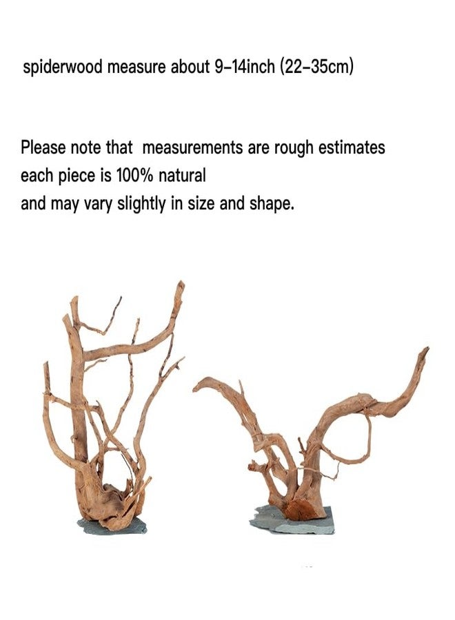 AWXZOM Natural Large Spider Wood Driftwood for Aquarium, Terrarium, Vivarium, and Reptile, Aquarium Décor, Reptile Tank, Aquarium décor Wood Aquascaping Wood for Reptile Enclosure (9-14inch) - Image 2