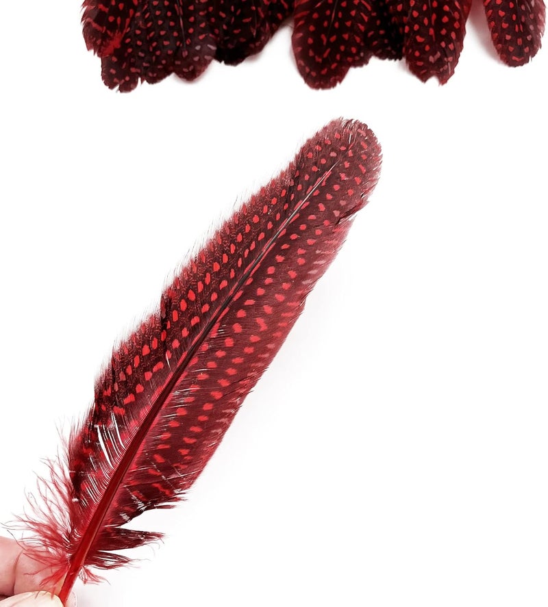 HAPPY FEATHER 6-9 inch Natural Guinea Wing Plumage Feather for DIY Craft, Jewelry and Clothing Decoration Pack of 20-Red - Image 4