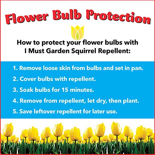 IMUSTGARDEN I Must Garden Squirrel Repellent: Protects Vehicles, Plants, Decking, & Furniture – Works on Chipmunks – 32oz Ready to Use - Image 5