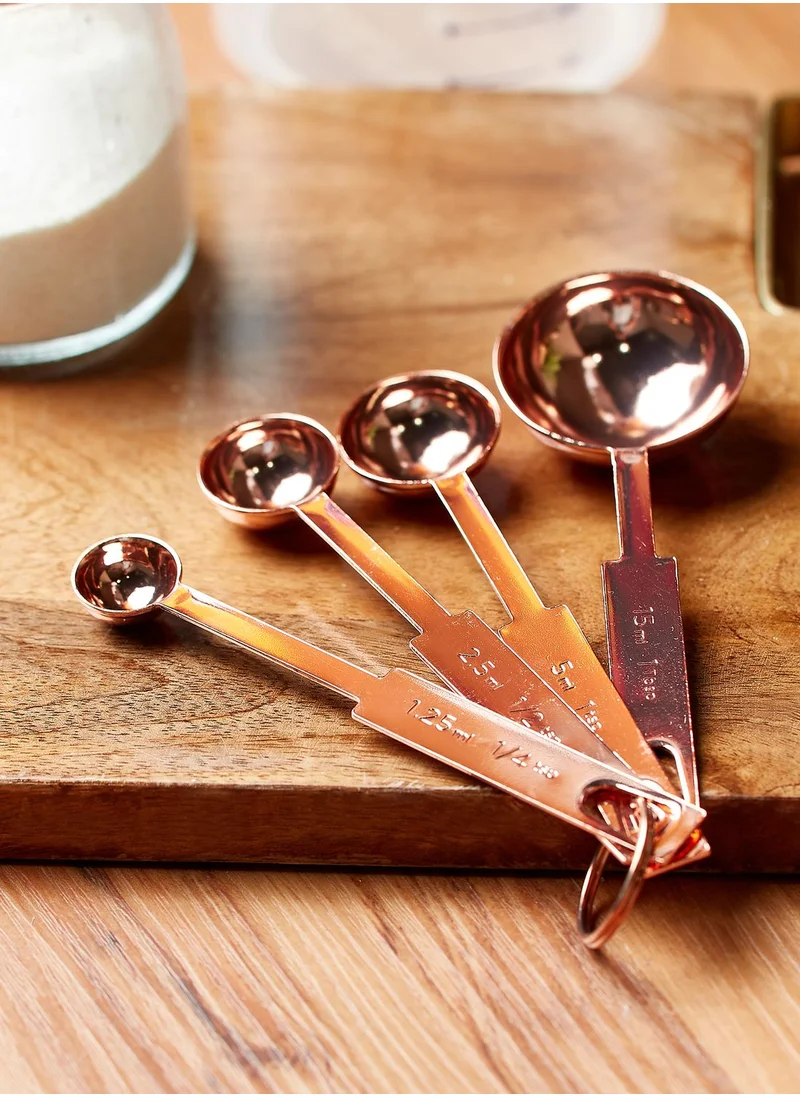 Premier Alchemist Set of 4 Measuring Spoons
