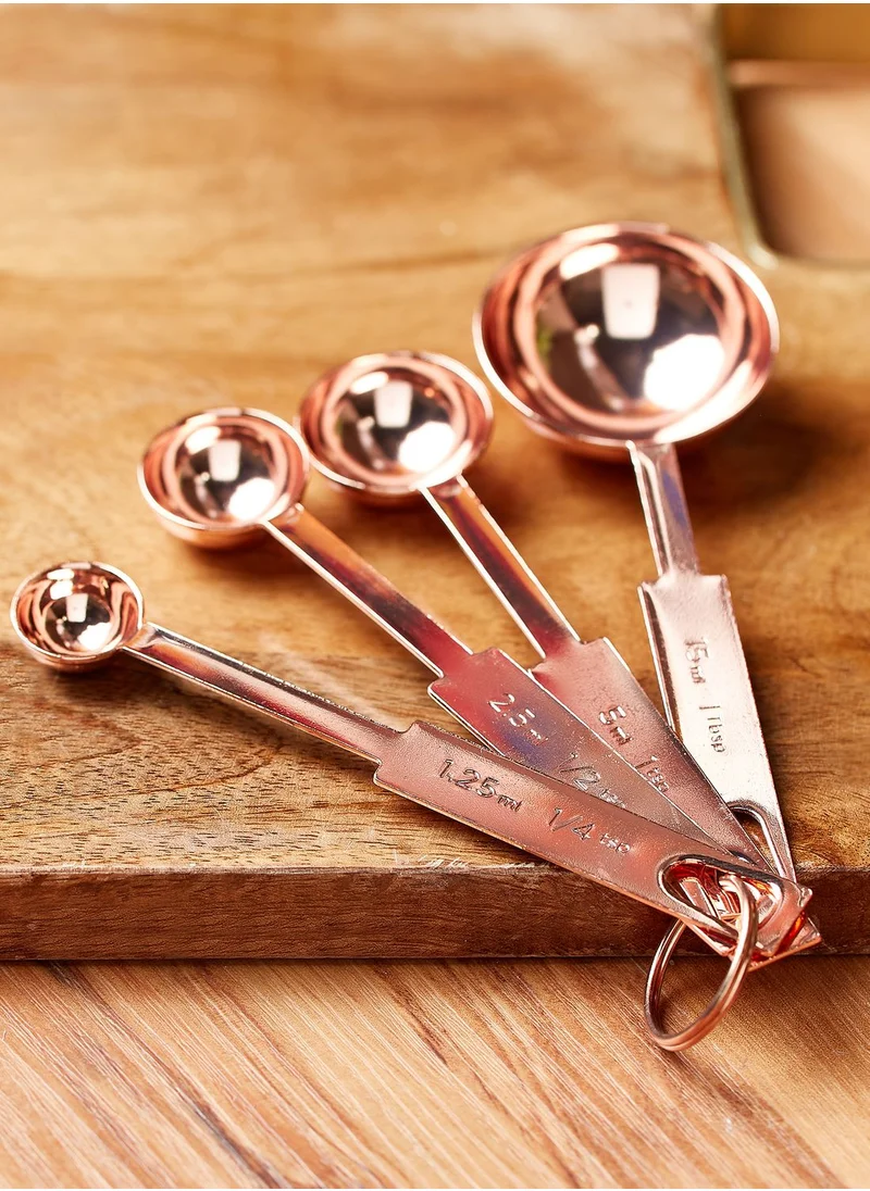 Premier Alchemist Set of 4 Measuring Spoons