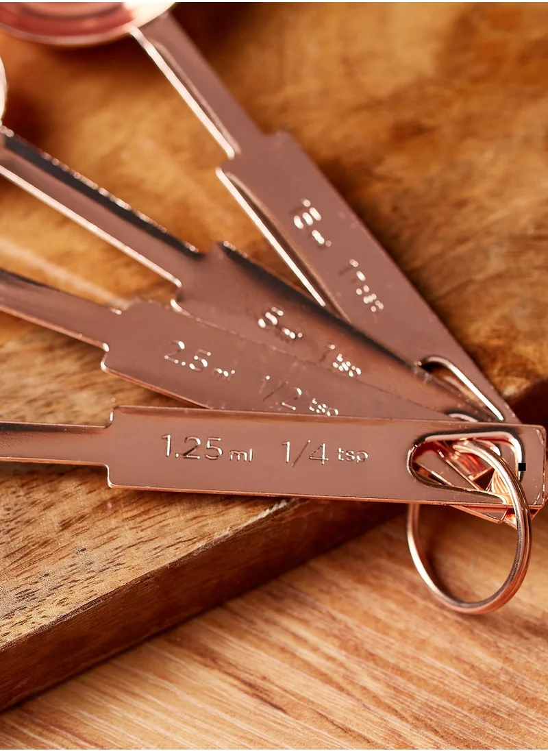 Premier Alchemist Set of 4 Measuring Spoons