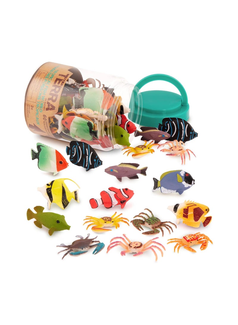 تيرا عالم الأسماك الاستوائية