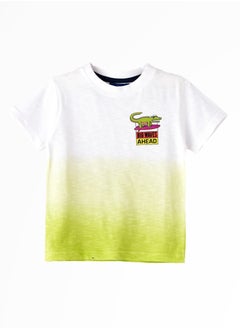 Playful Prints & Comfy Cotton: Boys' Short-Sleeve Tees for Spring & Summer