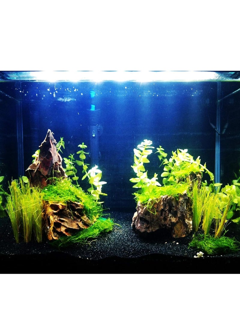 ڤسيل24 2-4 مم صخور النهر الطبيعية أحجار صغيرة سوداء مصقولة حصى زخرفية للنباتات، ديكور المنزل DIY، حصى حوض السمك، حشو المزهرية، حديقة الجنية، أحجار المناظر الطبيعية الخارجية - Image 3