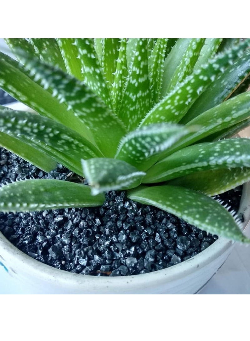 ڤسيل24 2-4 مم صخور النهر الطبيعية أحجار صغيرة سوداء مصقولة حصى زخرفية للنباتات، ديكور المنزل DIY، حصى حوض السمك، حشو المزهرية، حديقة الجنية، أحجار المناظر الطبيعية الخارجية - Image 4