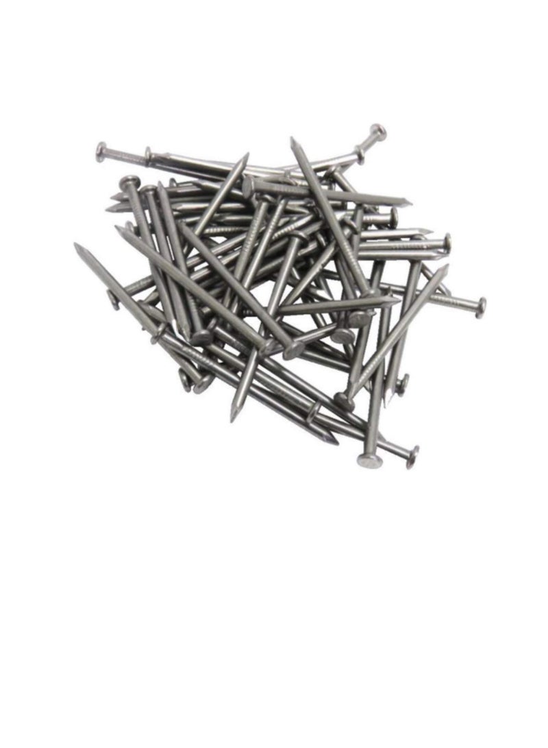 High Strength Round Head Nails For Carpentry Hardware Electrical Etc (100, 1 1/4 inch) - Image 1