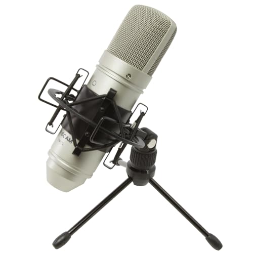 Tascam TM-80 Large Diaphagm Condenser Microphone,Silver - Image 1
