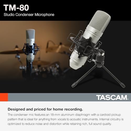 Tascam TM-80 Large Diaphagm Condenser Microphone,Silver - Image 3