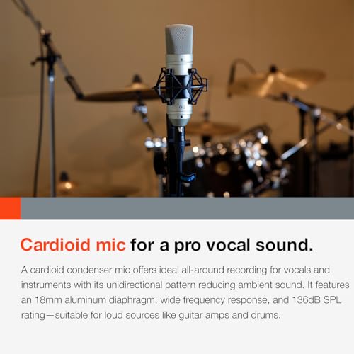 Tascam TM-80 Large Diaphagm Condenser Microphone,Silver - Image 5