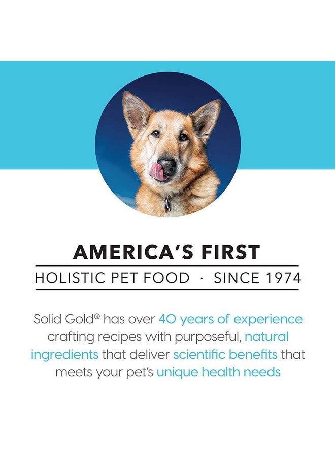 Solid Gold Wet Dog Food for Adult & Senior Dogs - Made with Real Chicken & Salmon - Leaping Waters Grain Free Canned Dog Food for Healthy Digestion & Sensitive Stomach - Image 2