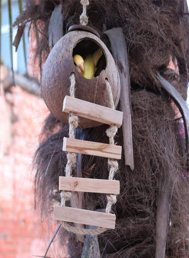 Besimple Gecko Coconut Husk Hut, Bird Hut Nesting House Hideouts with Ladder, Coco Texture Provide Food, Durable Cave Habitat with Hanging Loop for Leopard Gecko, Reptiles, Amphibians and Small Animals - Image 2