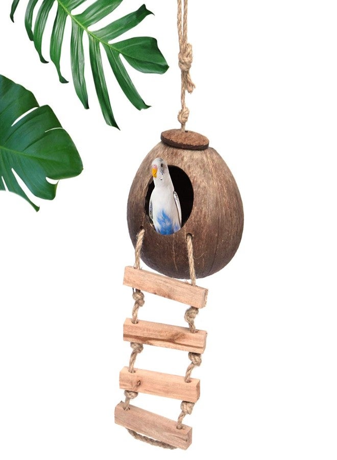 Besimple Gecko Coconut Husk Hut, Bird Hut Nesting House Hideouts with Ladder, Coco Texture Provide Food, Durable Cave Habitat with Hanging Loop for Leopard Gecko, Reptiles, Amphibians and Small Animals - Image 5