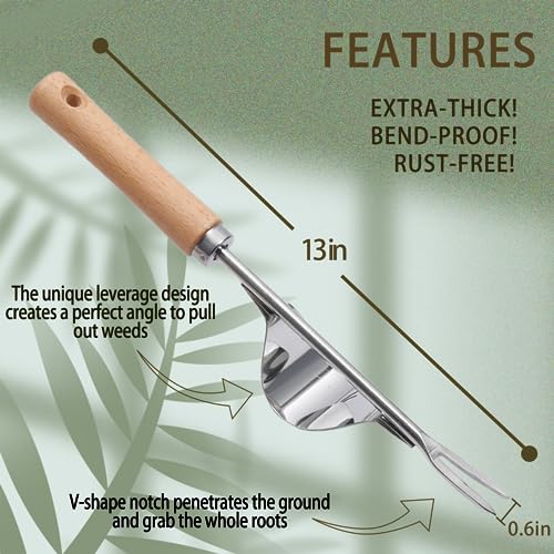Theuzi 3 Pack Weed Puller Tool, Manual Hand Weeder Paver, Crack Weeder, Stainless Steel Crevice Weeding Digger Tool, Paving Brick Moss Removal, L-Shape Gardening Crack Sickle for, Lawn Edger and Driveway - Image 5
