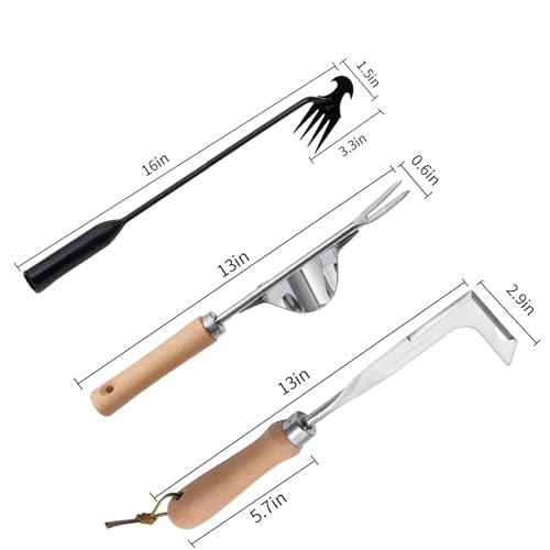 Theuzi 3 Pack Weed Puller Tool, Manual Hand Weeder Paver, Crack Weeder, Stainless Steel Crevice Weeding Digger Tool, Paving Brick Moss Removal, L-Shape Gardening Crack Sickle for, Lawn Edger and Driveway - Image 2