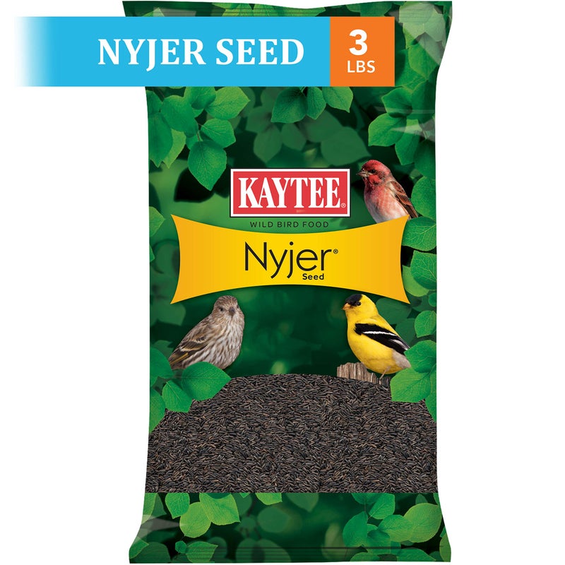 Kaytee Nyjer Wild Bird Food Seed, 3 Pound - Image 2