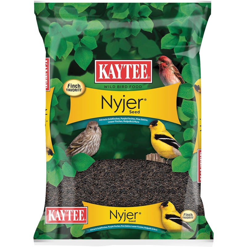 Kaytee Nyjer Wild Bird Food Seed, 3 Pound - Image 1