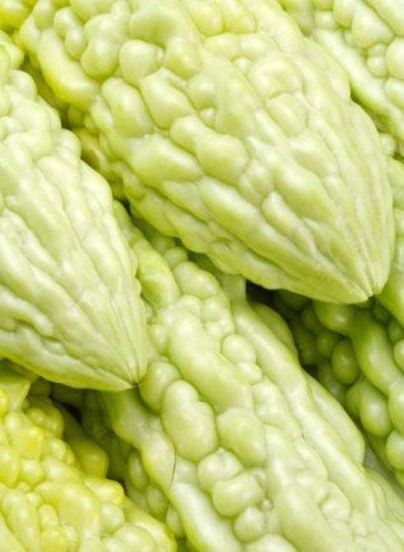 GGOOT 50Stück Weißer Bitterer Kürbissamen Kletterndes Grünes Gemüse Einzigartige Gartendekoration Einfache Kultivierung Braucht Nicht viel Pflege Einstiegssorte - Image 2