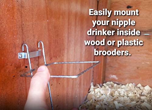 RentACoop Wire Bracket for Small Animal Drinking Bottle (32 oz/1 Liter) - Image 4