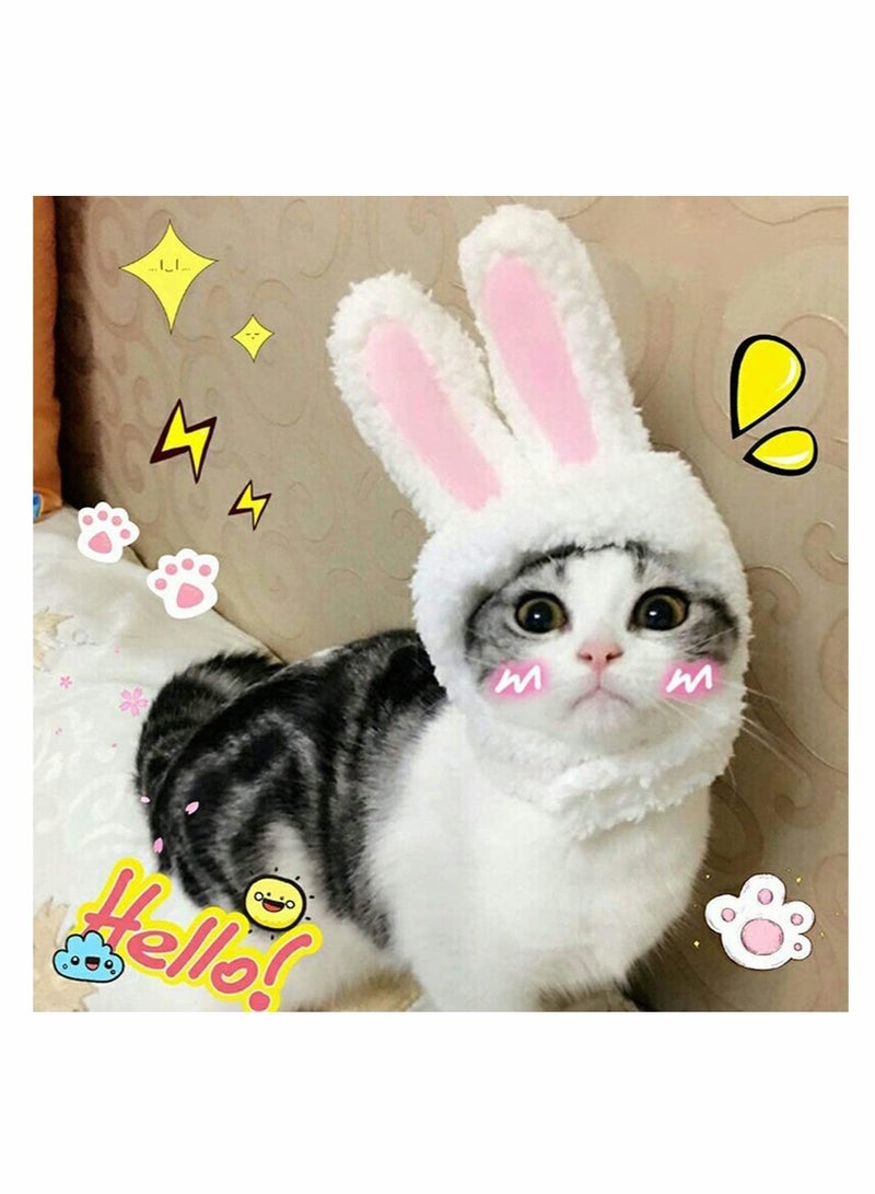 SOLARAE Cat Bunny Ears Costume Rabbit Hat for Cats or Small Dogs Party Costume Halloween Accessory Headwear - Image 5