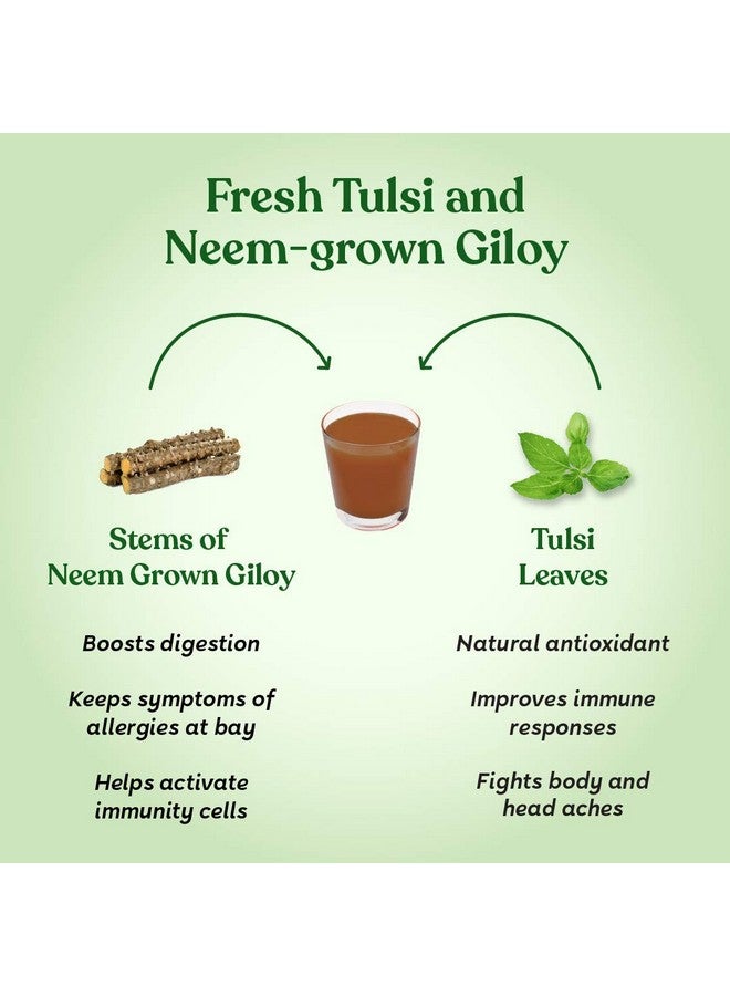 Kapiva Kapiva Wild Tulsi Giloy Juice (2L) | Fresh Tulsi and Neem-grown Giloy to Support Immune Health - Super Saver Pack of 2  - Image 4