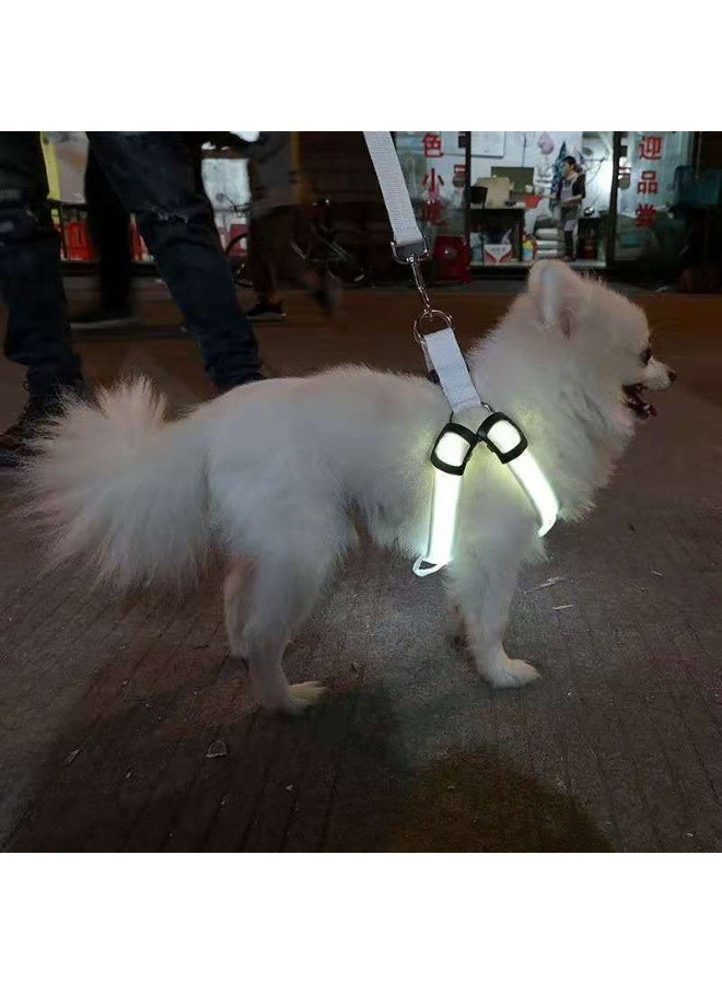 حزام مضيء بتقنية LED للقطط والكلاب مع ثلاثة تأثيرات إضاءة قابلة للتعديل - Image 1