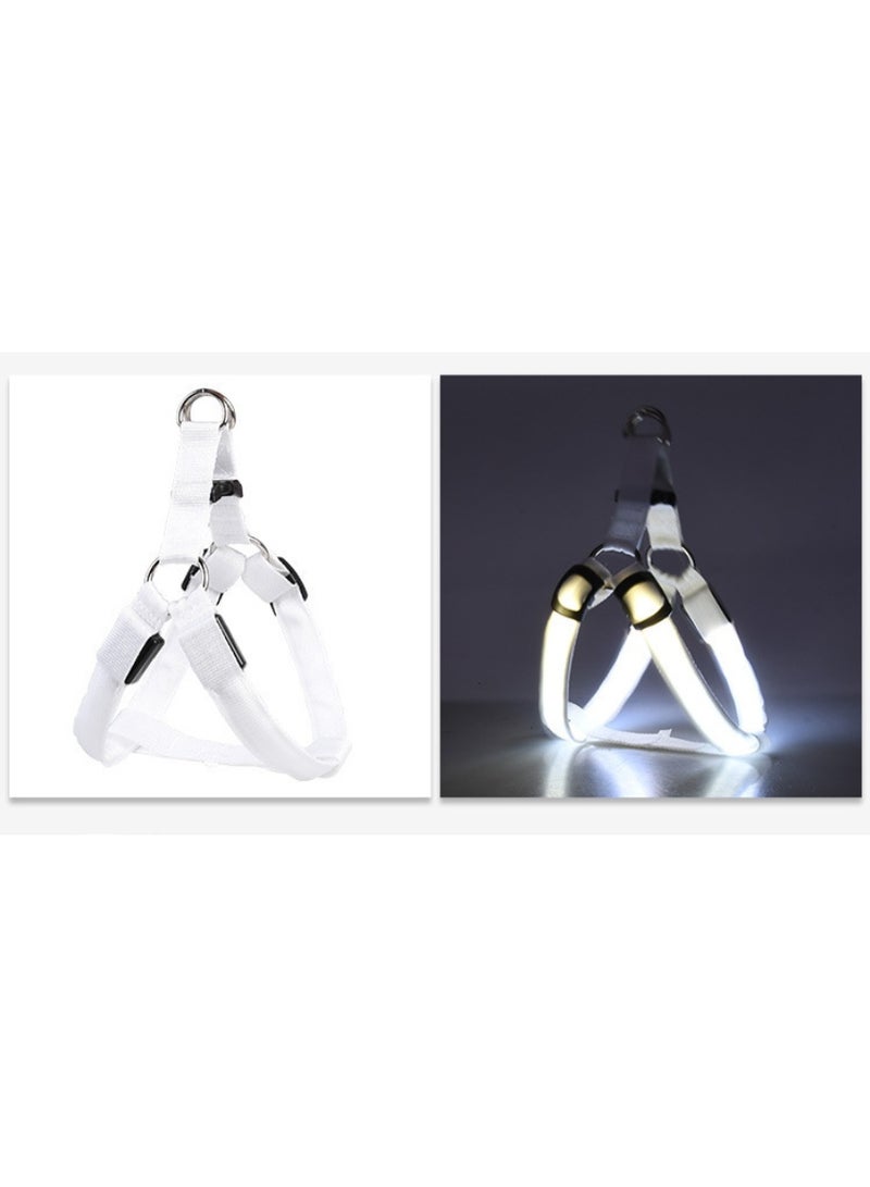 حزام مضيء بتقنية LED للقطط والكلاب مع ثلاثة تأثيرات إضاءة قابلة للتعديل - Image 2