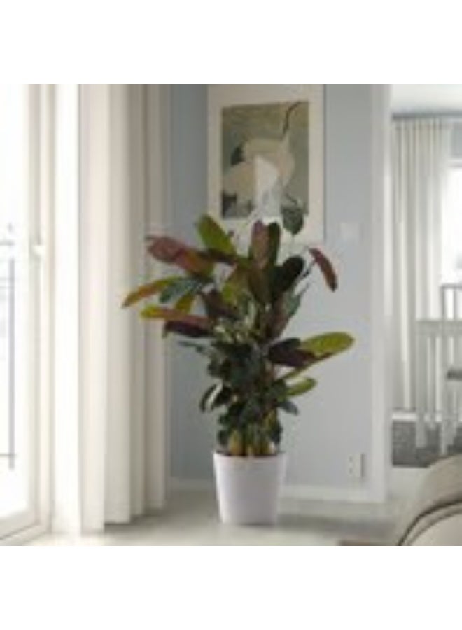 Plant pot white 24 cm - Image 2