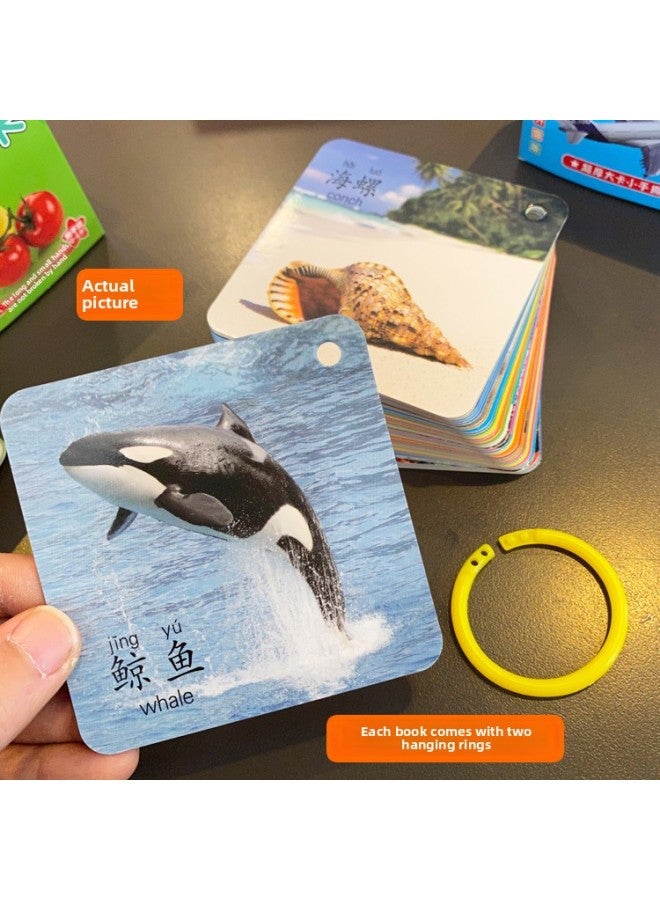 Loquat Baby Early Education Card Cognitive Figure Recognition Card Baby Learning Figure Recognition Card Digital Literacy Animal Card 0-3 Years Old-Specifications:Characters - Image 4