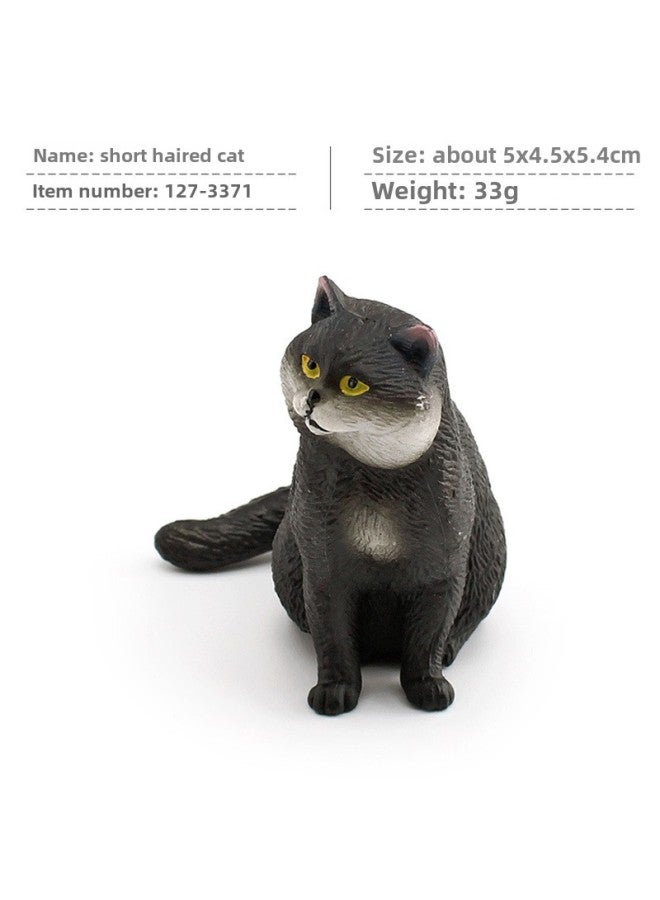 Children's Mini Simulation Pet Cat Model Orange Cat Fat Cat British Short-haired Cat Pastoral Cat Decorative Ornaments-Color:Pl127-3371 Short-haired Cat 33g  - Image 1