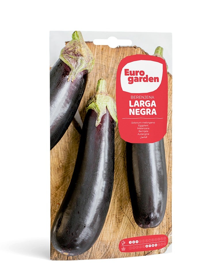 Euro Garden Eurogarden Eggplant Seeds - Grow Your Own Beautiful And Delicious Eggplants At Home 3G  - Image 1
