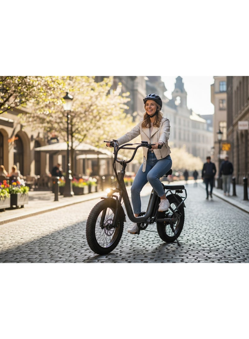 Lucky Liang U03 Electric Bike 500W Motor (750W Max), 48V 13Ah Battery, 45Km/h Speed, 45Km Range, 20”3.0 Tires, Disc Brakes, Carbon Steel Frame – Powerful Long Range E-Bike for Adults - Image 4