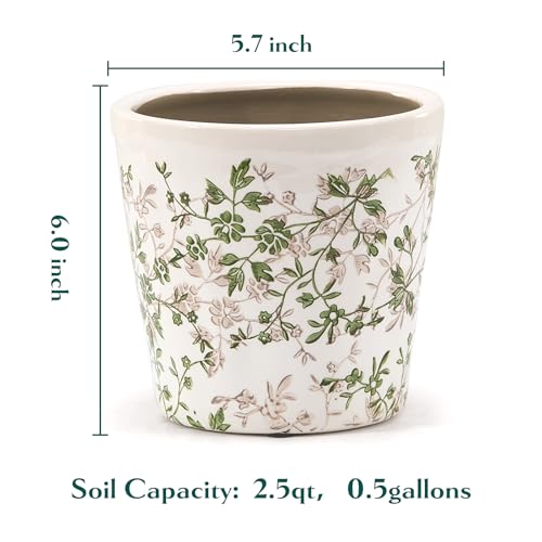 Teweiqi Ceramic Planter with Drainage Hole, Plastic Tray & Mesh, 6 Inch - Indoor/Outdoor Flower Pot for Orchids, Succulents, Green Floral Modern Farmhouse Décor for Home,Office and Garden, Ideal Gift - Image 5