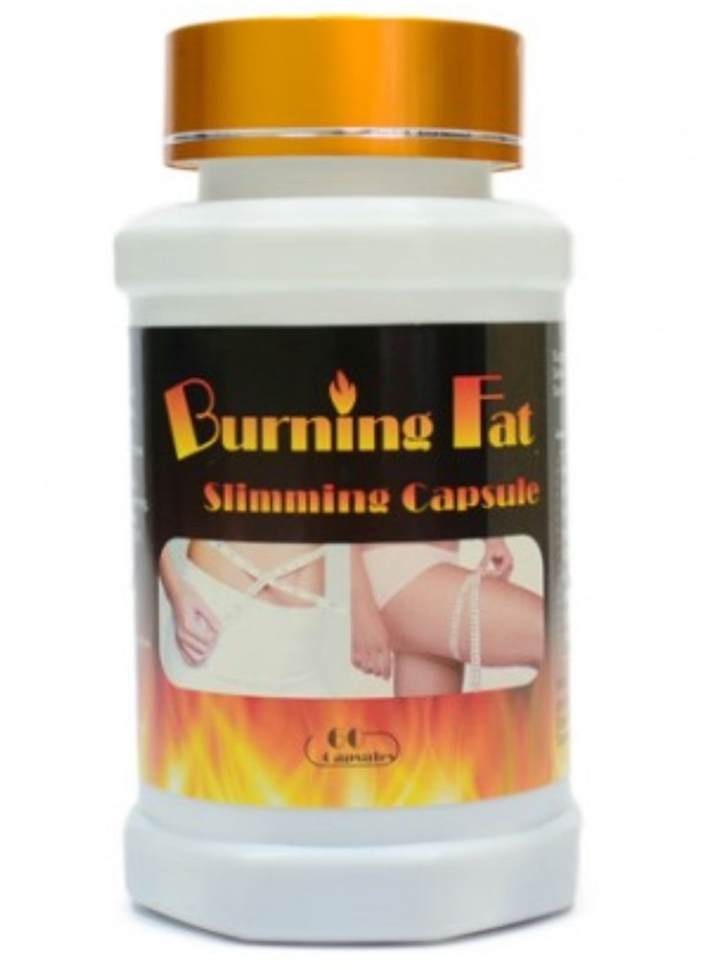 Burning Fat Burner 60 Pieces - pzsku/Z9FA3CC3B526B6CD890C3Z/45/_/1733949301/0b5e71ed-e204-4814-b8f0-a9851d3f91cd