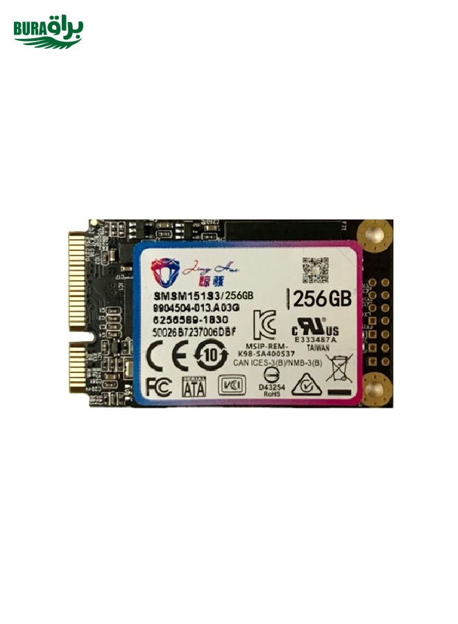 BURAQ JingHai 1.8 inch mSATA Solid State Drive, Flash Architecture: MLC, Capacity: 256GB  - Image 2