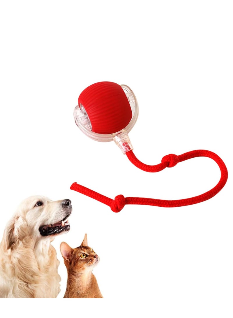 A.M Chewie Viral Rolling Ball, Chewie Ball ,Chewie Ball For Dogs ,Viral Rolling Ball, Motion Activated Automatic Rolling Ball ,Smart Automatic Rolling Pet Ball,360° Rotating Rolling Ball with USB Charging - Image 1