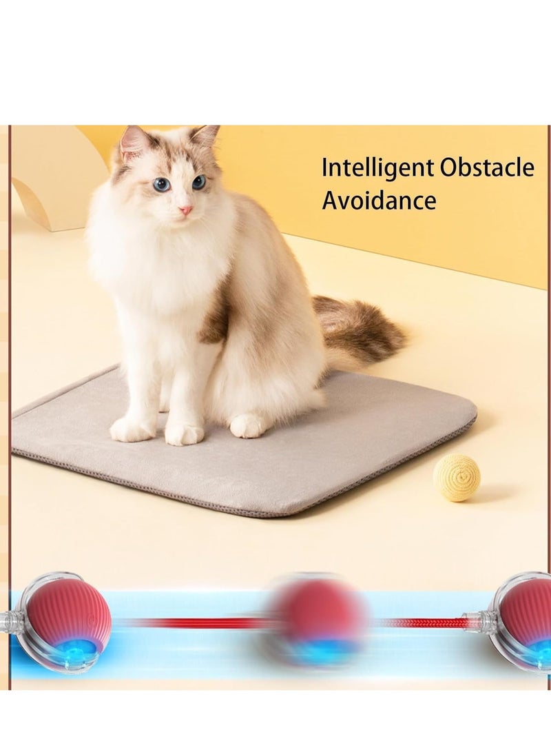 A.M Chewie Viral Rolling Ball, Chewie Ball ,Chewie Ball For Dogs ,Viral Rolling Ball, Motion Activated Automatic Rolling Ball ,Smart Automatic Rolling Pet Ball,360° Rotating Rolling Ball with USB Charging - Image 5