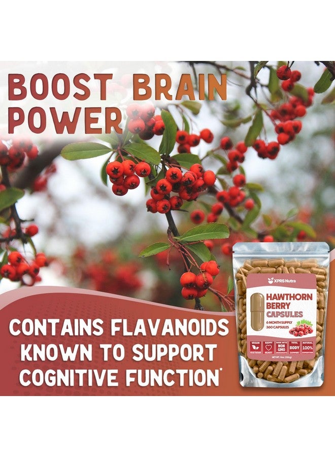 XPRS Nutra Hawthorn Berry Powder Capsules - 360 Count (6 Month Supply) - Premium Hawthorn Berry Capsules for Cardiovascular Support - Hawthorne Berry Powder - An Ideal Hawthorne Supplement for Men and Women - Image 3
