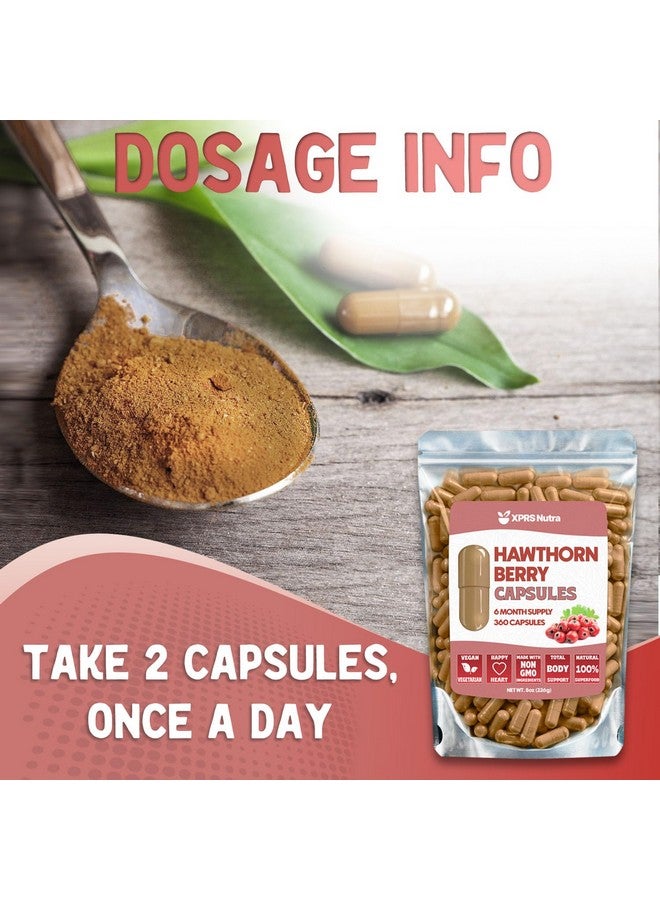 XPRS Nutra Hawthorn Berry Powder Capsules - 360 Count (6 Month Supply) - Premium Hawthorn Berry Capsules for Cardiovascular Support - Hawthorne Berry Powder - An Ideal Hawthorne Supplement for Men and Women - Image 5